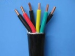 CONTROL CABLE FR-XLPE Insulated Conductors, PVC Jacket, 600V